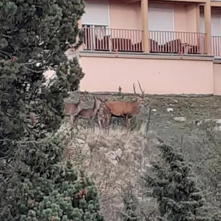 T2 Entierement Renove Dans Calme Font-Romeu-Odeillo-Via